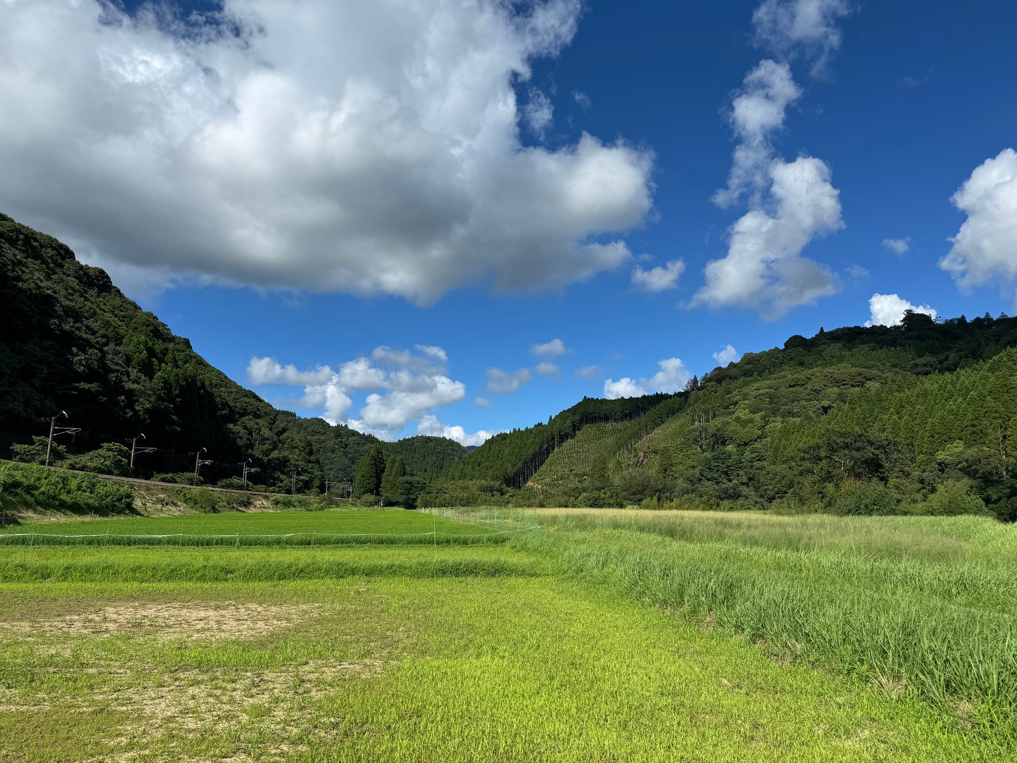 夏休み
