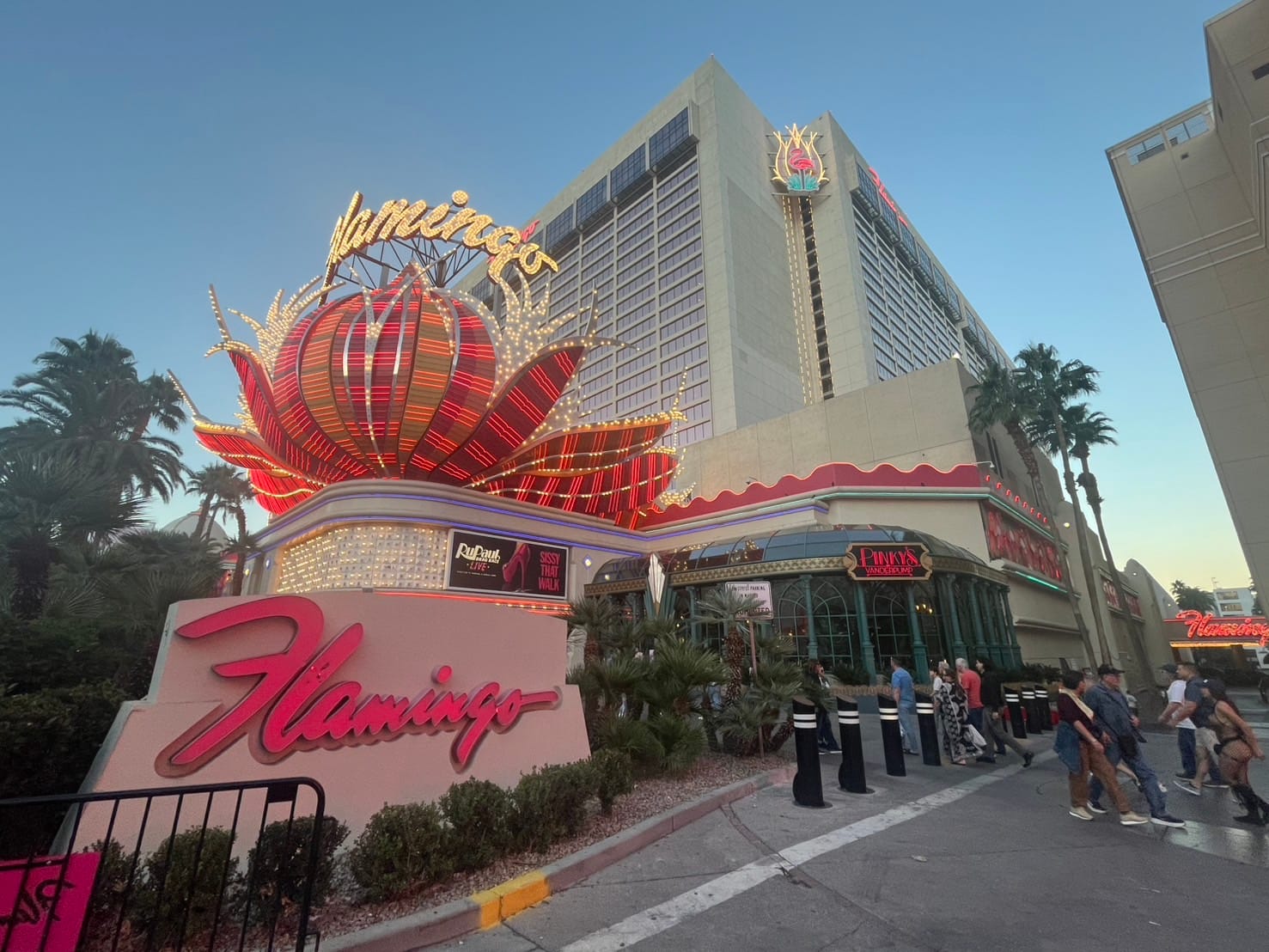 【スタッフ通信】11/20